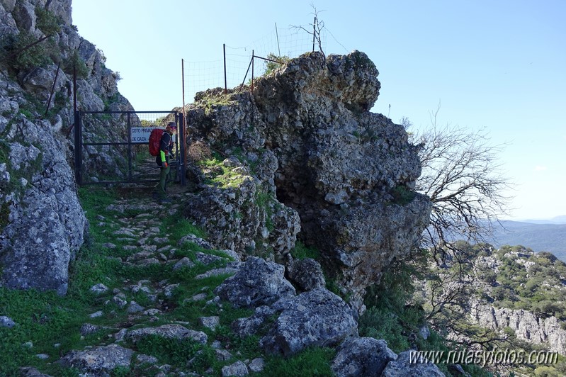 El Cintillo - Sierra Baja de Ubrique - Paso del Bombo - Ubrique - Cañada de los Pernales