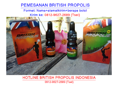 AMPUH! 0812-9627-2689, British Propolis Pekanbaru, Jual British Propolis Pekanbaru, Penjual British Propolis Pekanbaru, Yang Jual British Propolis Pekanbaru, Beli Obat British Propolis Pekanbaru, Beli British Propolis Herbal Pekanbaru, Jual British Propolis Herbal Pekanbaru, Agen Resmi British Propolis Pekanbaru, Agen British Propolis Pekanbaru, Agen Resmi British Propolis Ippho Pekanbaru,