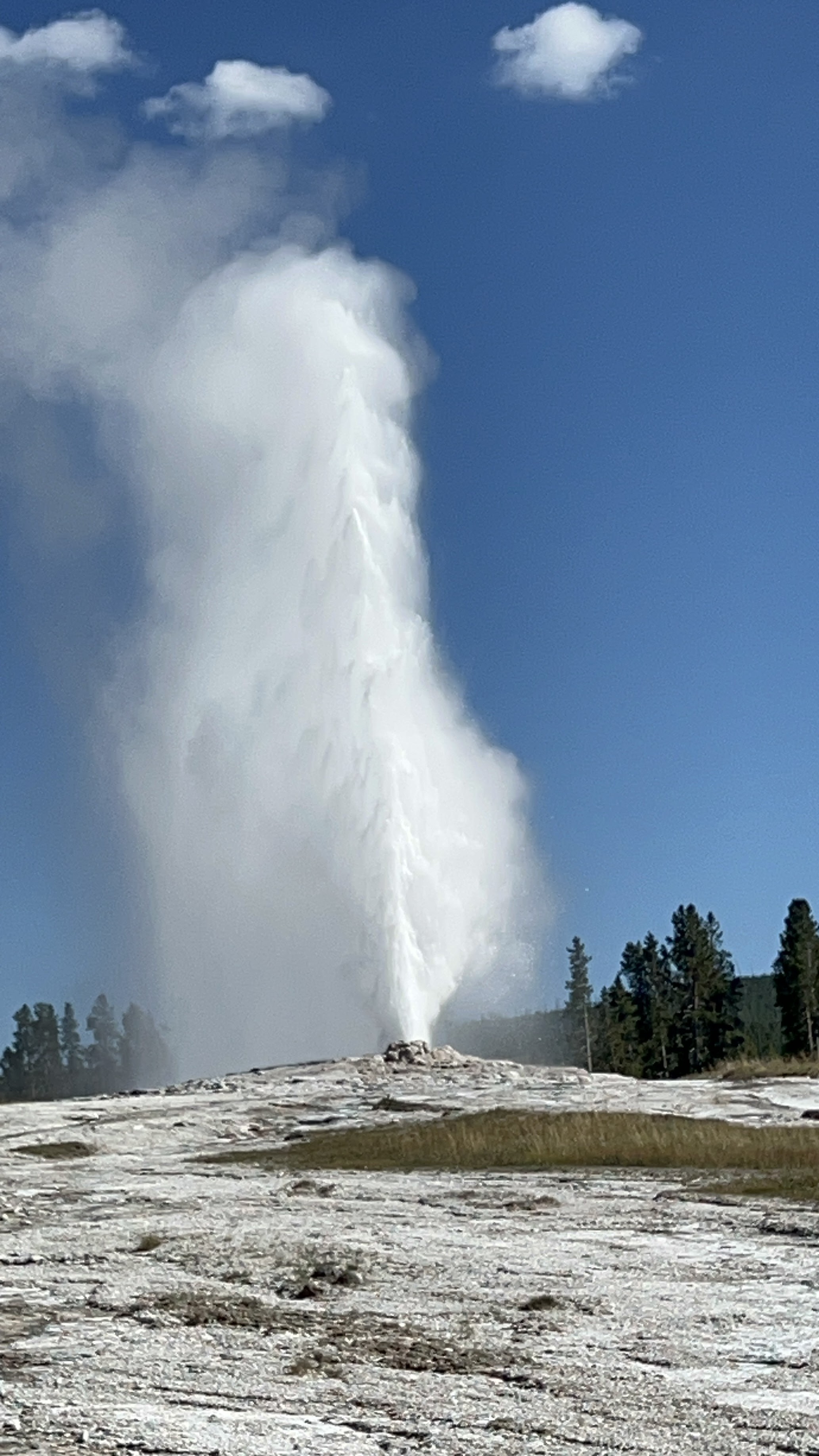 yellowstone, wyoming, national park, wyoming travel guide, us national park, yellowstone travel guide, old faithful, old faithful inn