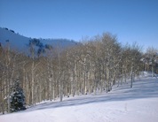 Aspen 12 23 03