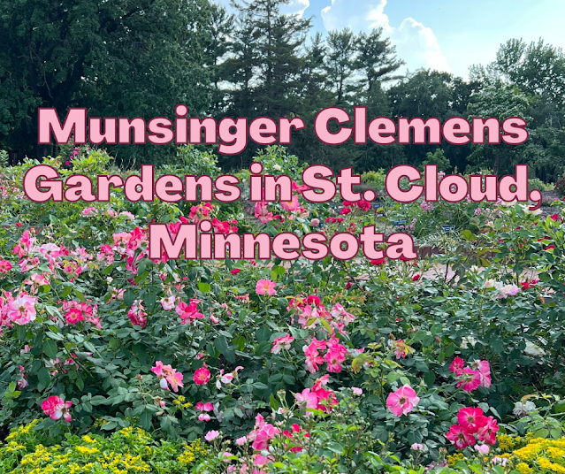 Basking in Summer Blooms at Munsinger Clemens Gardens in St. Cloud, Minnesota