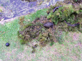 The Minigolf Welly Boot Swamp Ball Incident in Hastings