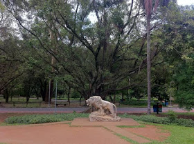 Parque Ibirapuera - Praça do Leão