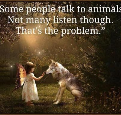 Talking To Animals