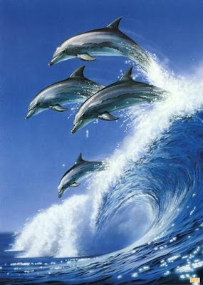 Love of Dolphins