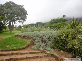 Kirstenbosch Botanical Garden