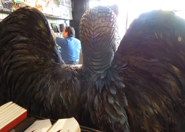 Birdman wings back costume