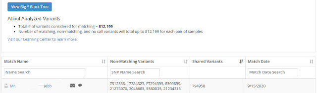 FTDNA  Y-DNA matches