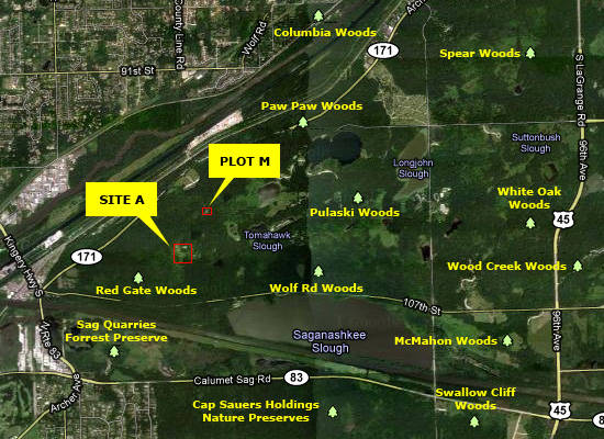 Site A and Plot M