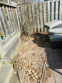 Paul Jung Gardening Services a Toronto Gardening Company The Junction Spring Backyard Garden Cleanup Before