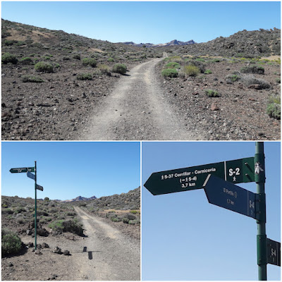 GR-131 TRAMO 5 EL PORTILLO - CENTRO DE VISITANTES (S-4 Siete Cañadas) A DEGOLLADA DE GUAJARA (S-5), pista Siete Cañadas y bifurcación hacia Arenas Negras S-2, Cerrillar y Carniceria S-37