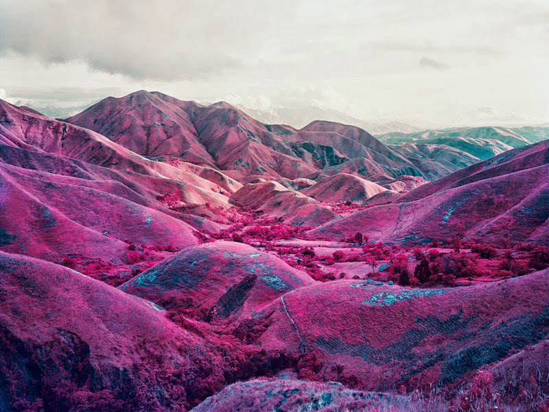 RICHARD MOSSE - infra