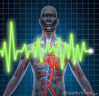 Interpretasi EKG