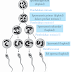 Jelaskan Proses Spermatogenesis