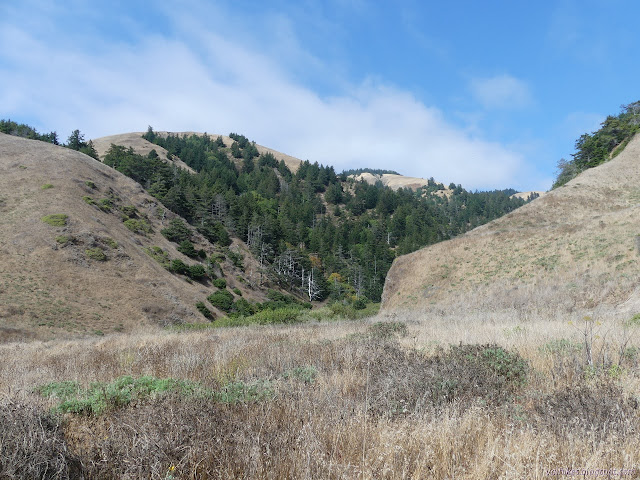 the canyon of Randall Creek