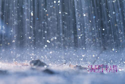 Sweet Rain