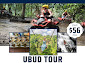 Ubud Private Day Tour Package 