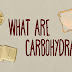 CARBOHYDRATE CHEMISTRY LECTURE 1.ppt