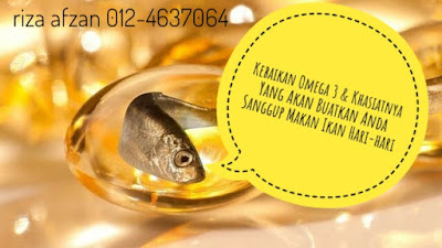 Kebaikan omega3