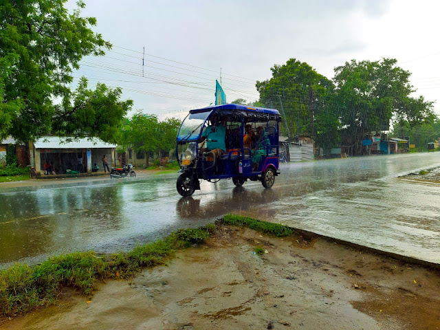 its rainning, toto in rain