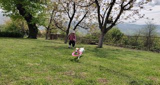 Fun playtime with the Frisbee