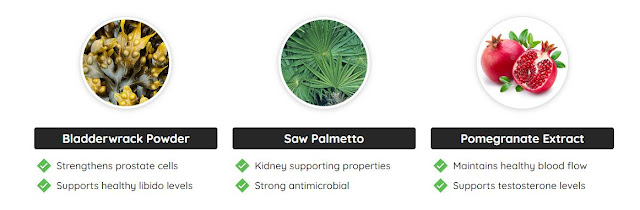 Ingredients Of Prostadine