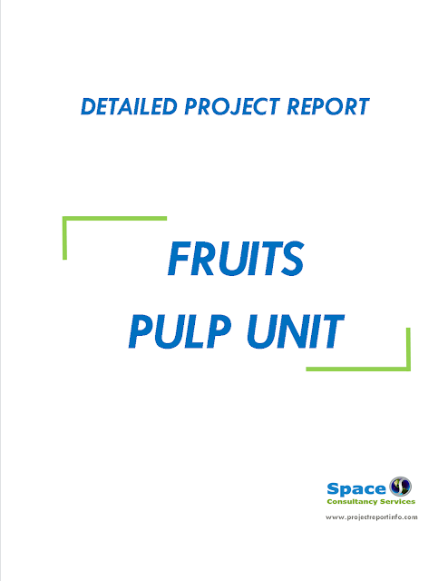 Project Report on Fruits Pulp Unit