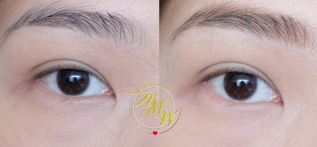 a photo of Celeteque DermoCosmetics+ Eyebrow Defining KIT Review