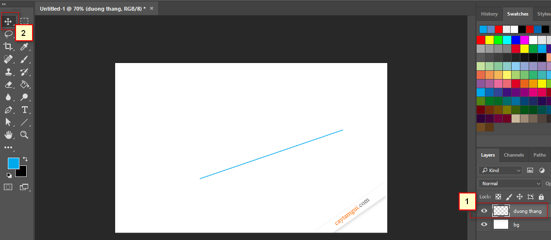 Hướng dẫn vẽ đường thẳng, đường cong trong Photoshop