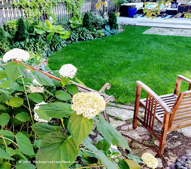 White, Annabelle hydrangeas, backyard, garden design