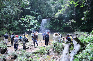 Bukit Teraja waterfalls Kuala Belait Brunei 