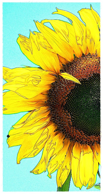 I Got Sunshine Digital Art