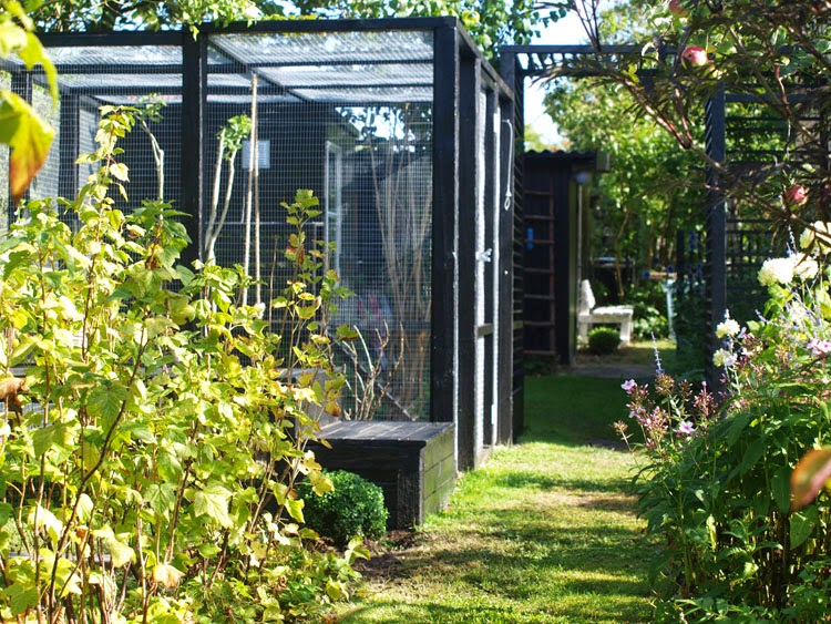 Hjemmebygget hønsegård til den moderne have