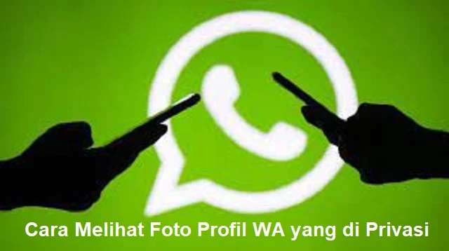 Cara Melihat Foto Profil WA yang di Privasi