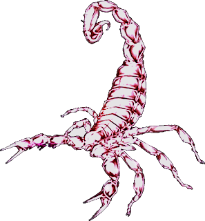 scorpio animated zodiac symbols sign