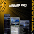 Download Winamp Pro 5.63 Full Serial