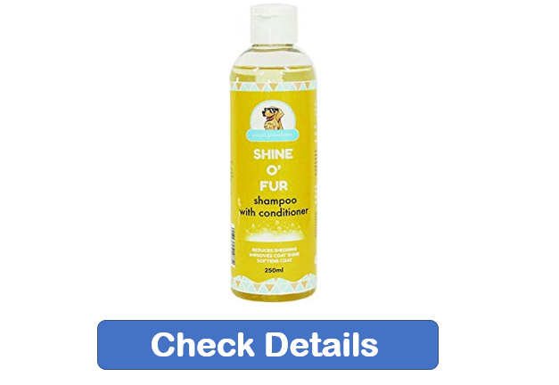 best dog shampoo, Golden Retriever dog shampoo, best shampoo for puppies