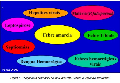 Diagnóstico diferencial da Febre Amarela - Surto,Epidemia no Brasil