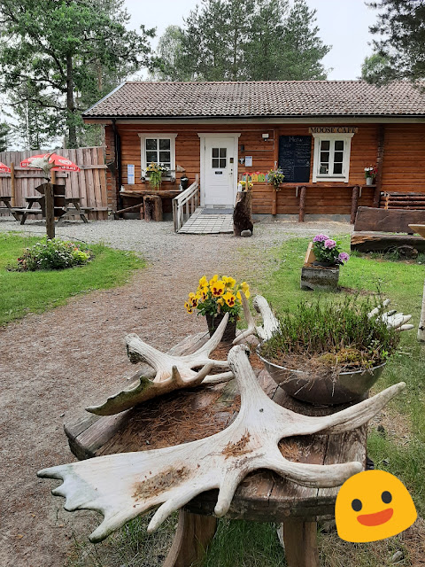 Dalsland Moose Ranch