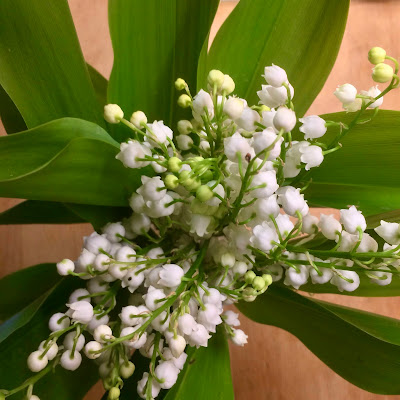 French Village Diaries World Naked Gardening Day #wngd 2021 May Day lily of the valley