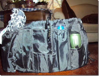 Purse 015
