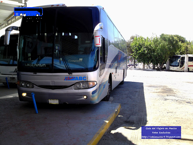 Autobuses de Baja California