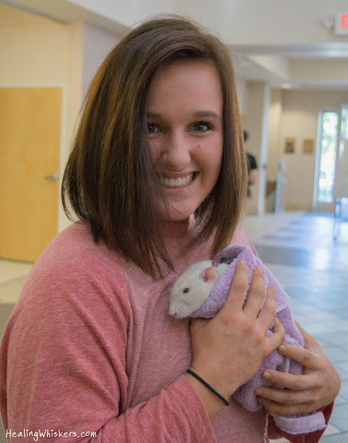 Oliver the Therapy Rat at Shorter University