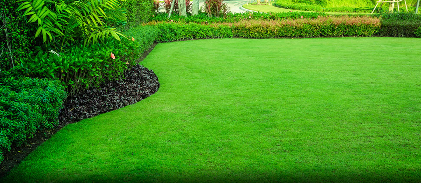 Lawn Care Services in Rochester