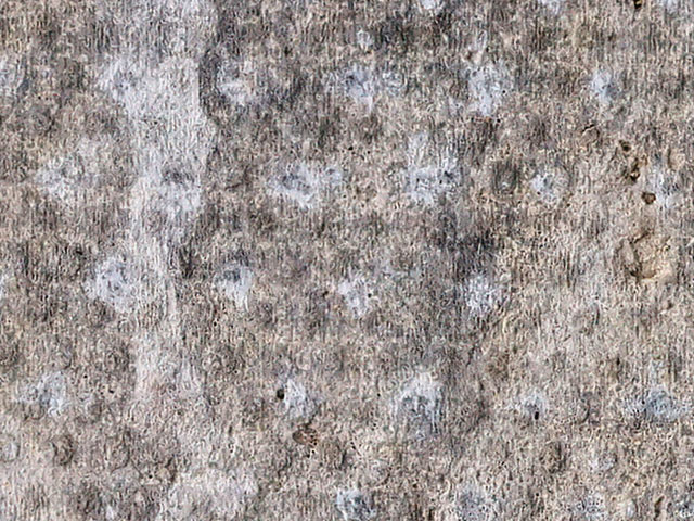 Concrete bleach texture