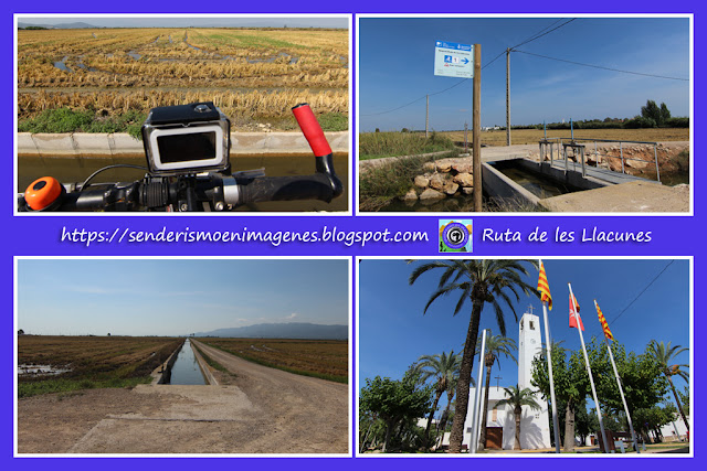 Delta de l'Ebre (Ruta de les Llacunes)