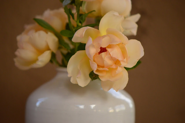 rose "Wollerton Old Hall", amy myers ceramics, Monday vase meme, small sunny garden, desert garden, amy myers photography