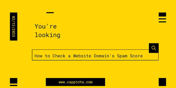 How to Check a Website Domain's Spam Score and Tips for Using It