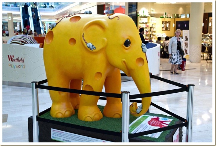 Elephant3