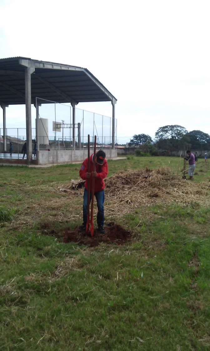 Projeto Revitalização da Escola Orlando.